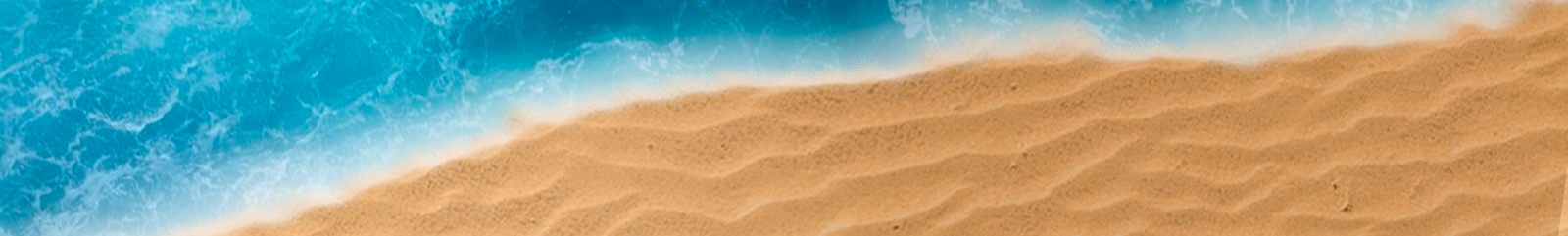 Liquidación Verano 2025