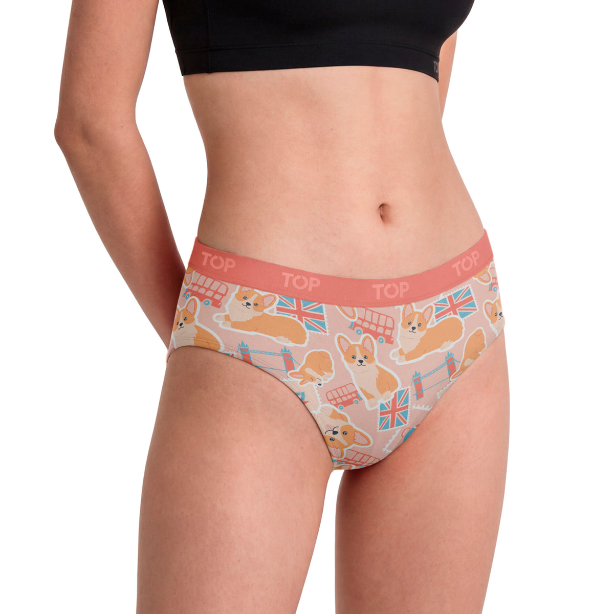 Pantaletas Algodón Con Elástico Pack 3 Colección Favs C1