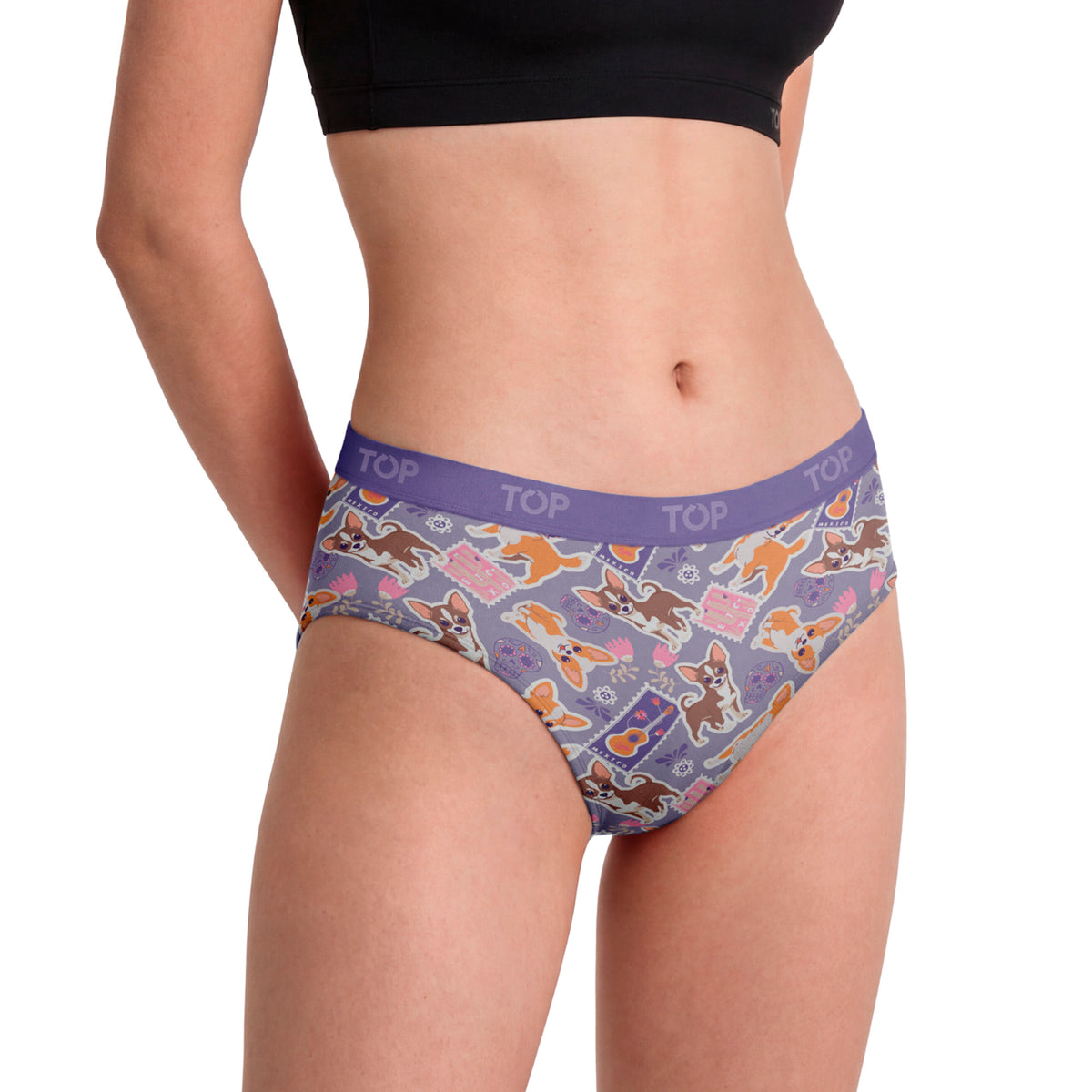 Pantaletas Algodón Con Elástico Pack 3 Colección Favs C1